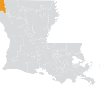 <span class="mw-page-title-main">Louisiana's 39th State Senate district</span> American legislative district