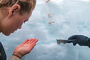 Jury prize: Photo of observation of snow and ice layers in Fox Fonna glacier in Svalbard to collect information about weather conditions. (Kertu Liis Krigul)