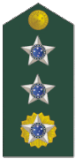 Distintivo maggiore dell'esercito brasiliano.