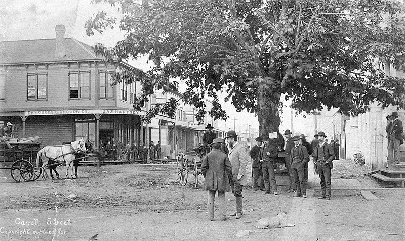 File:Maple Tree Corner Vancouver 1886.jpg