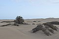 Dünen von Maspalomas