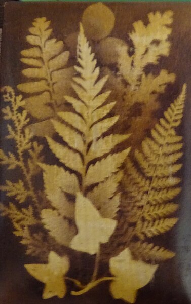 File:Mauchline Ware wood bible cover. Ferns, ivy, etc.jpg