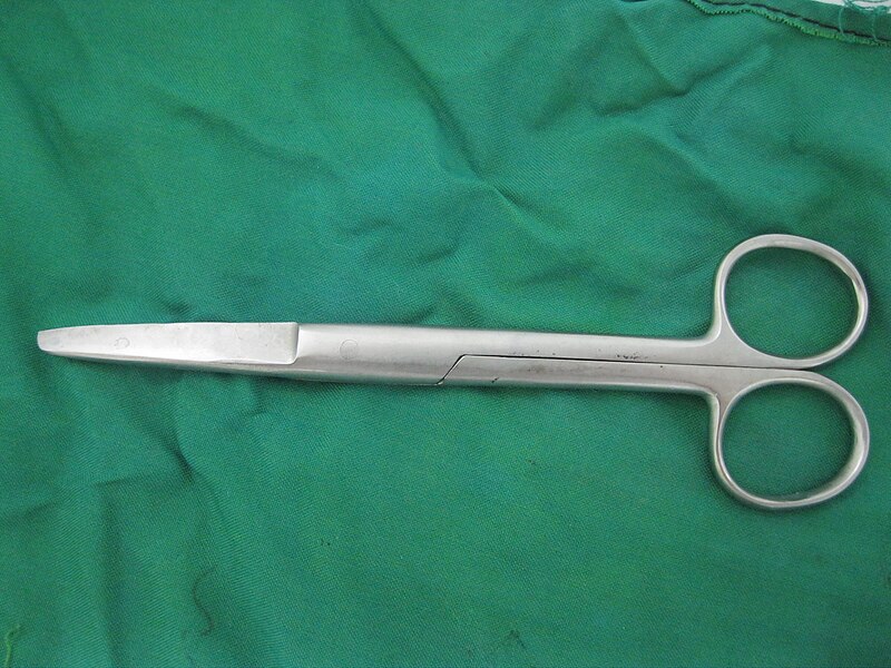 File:Mayo surgical scissors.jpg