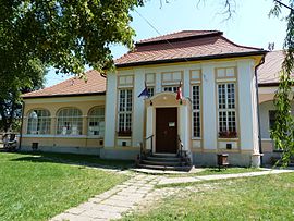 Meczner kastély (Művelődési ház) - Makkoshotyka, 2014.06.19 (1).JPG