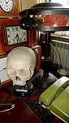 Medical Museum (6).jpg