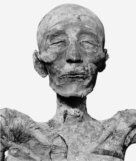 Tập_tin:Merneptah_mummy_head_(cropped).png
