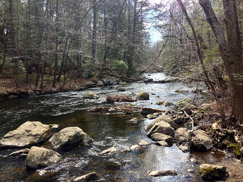 File:Mianus River Park - Mianus River from west river bank.JPG