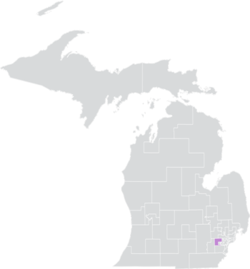 Michigan Senato Bölgesi 7 (2010) .png