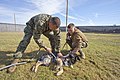 Military working dog bids farewell to working life 121114-M-KU760-500.jpg