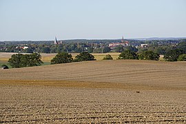 Mohrberg in Spitzkuhn (Blick Richtung Röbel)