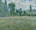 Monet - The Meadow, 1879.jpg