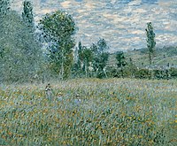 A Meadow Monet - The Meadow, 1879.jpg