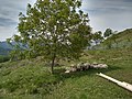 Monte Tavagnone, fondo dei Cioaröi