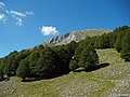 Berg Pollino