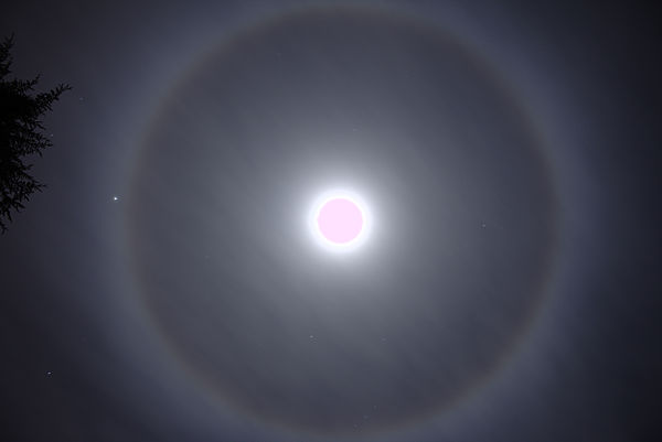 A 22° halo around the Moon in Atherton, California