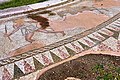 Mosaic depicting the peasant Atticus dragging a donkey, 3rd - 2nd cent. B.C. Ancient Messene.