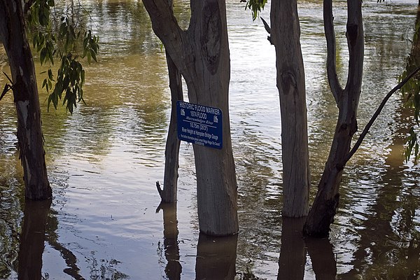 Murrumbidgee River in major flood in December 2010 and flood marker showing the height of the 1974 floods in Wagga Wagga