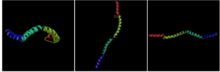 Mus musculus FGFR1OP2 protein structure from ModBase Mus musculus FGFR1OP2 protein structure from ModBase.png
