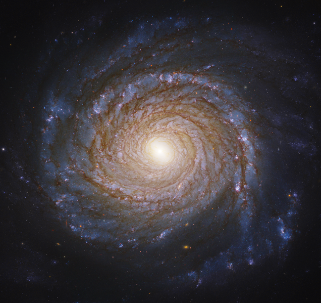 File:NGC 3147 - HST.png