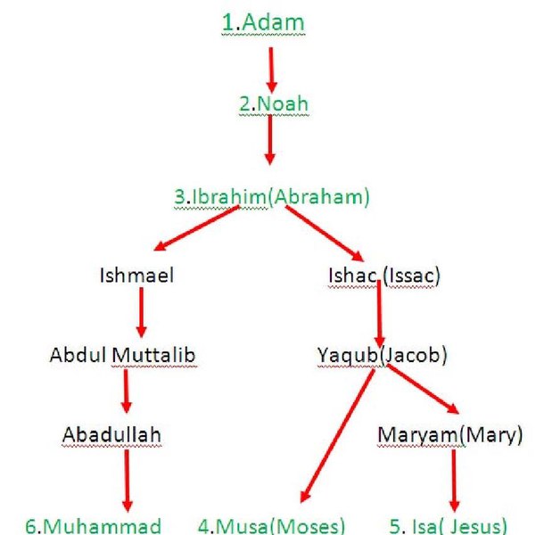 File:Nabi tree.pdf