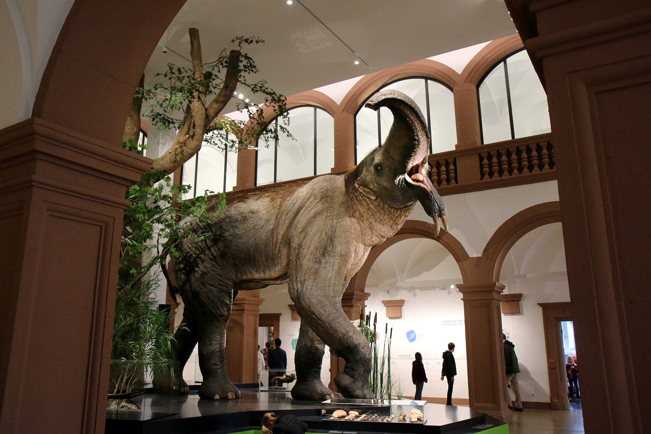 Deinotherium at Mainz Natural History Museum. : r/Naturewasmetal