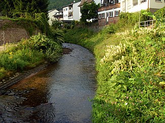 Die Steinach in Neckarsteinach