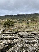 Necropolis of Remelluri, Labastida.jpg