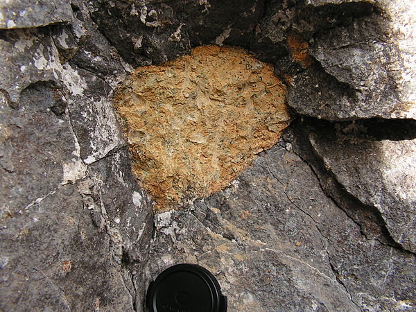 Peridotite xenolith in a nephelinite lava flow, Kaiserstuhl