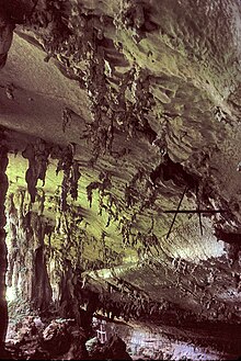 Niah cave, a swiftlet nesting site Niah cave.jpg