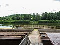 Witka-Stausee Bühne bei Niedów (PL)