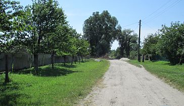 Село влітку