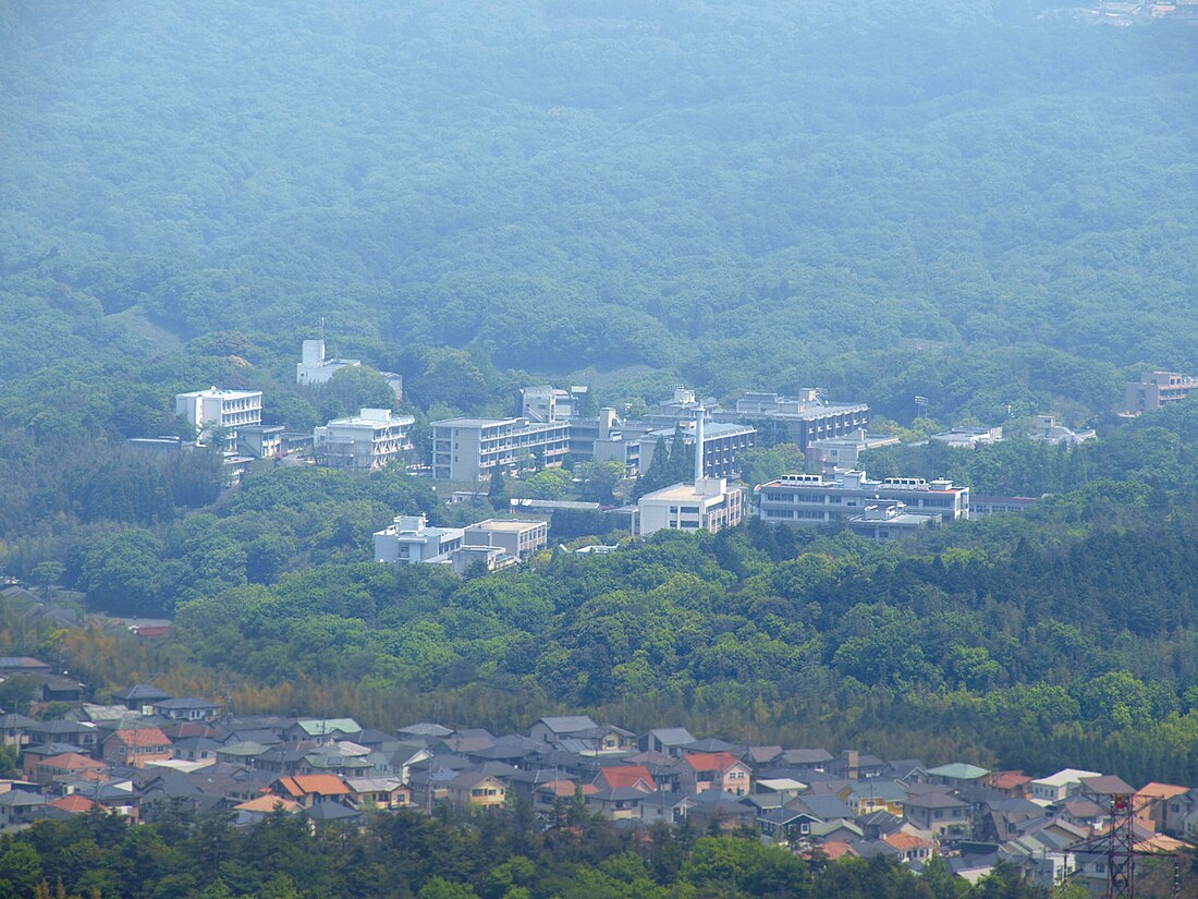 大分大學