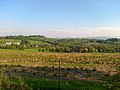 Okolice wsi Dolni Terlicko - panoramio.jpg