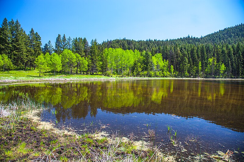 File:On McQueen Lake "O" Map (15930152917).jpg