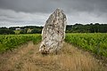 Menhir of Pierre blanche