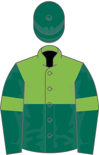 <span class="mw-page-title-main">Sottsass</span> French Thoroughbred racehorse