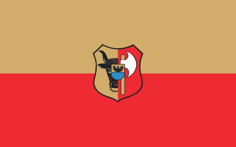 File:POL Leszno flag with arms.svg