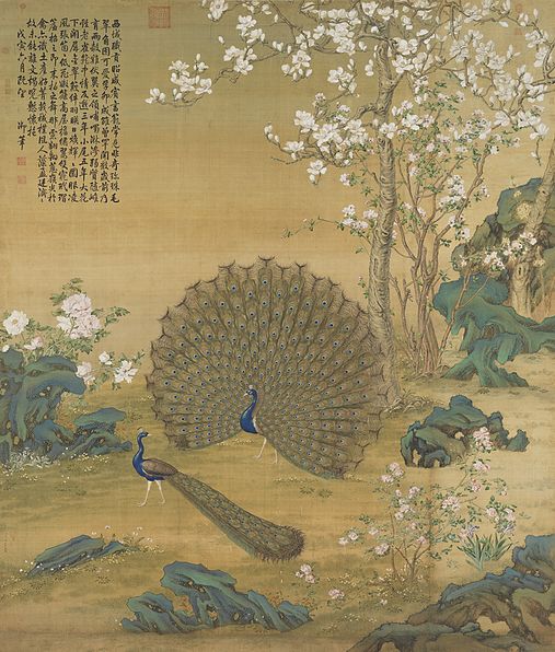 File:Peacock Spreads Its Tail.jpg