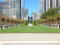 Perenial Taman Chicago.JPG