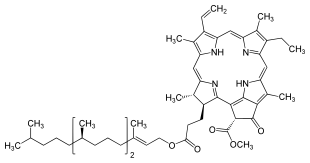 Pheophytin a, i.e. chlorophyll a without the Mg ion. Phaeophytin a.svg