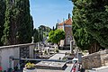 * Nomination Piran Cemetery , Slvenia --Isiwal 09:59, 18 October 2020 (UTC) * Promotion  Support Good quality. --Jakubhal 13:25, 18 October 2020 (UTC)