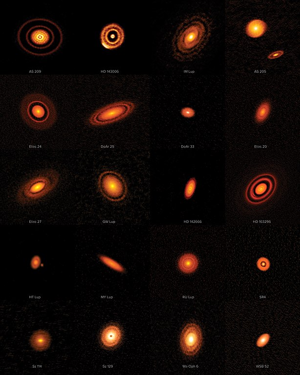 protoplanetary disks from ALMA