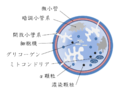 2015年12月23日 (水) 14:27時点における版のサムネイル