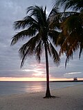 Vignette pour Playa Girón