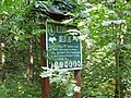 Polski: Rezerwat Wielki Las na terenie Puszczy Knyszyńskiej (podlaskie) English: Nature reserve „Wielki Las” in Knyszyn Forest (podlaskie, Poland)