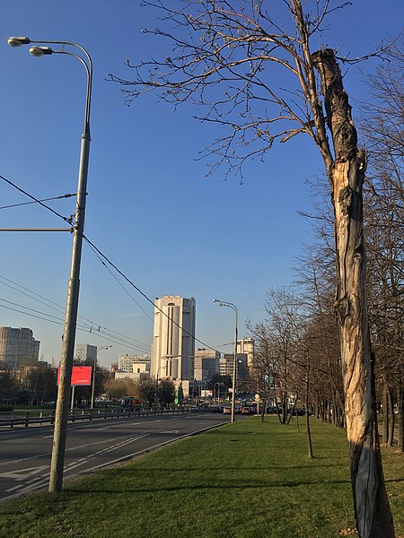 File:Profsoyuznaya Street 43-87, Moscow - 5818.jpg