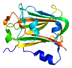 ANAPC10 PDB 1jhj.png oqsillari