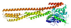 Protein GBP1 PDB 1dg3.png