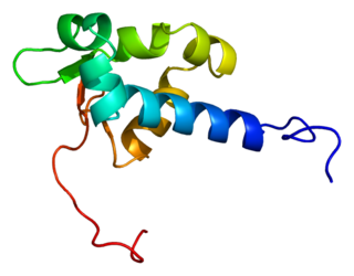 <span class="mw-page-title-main">LARP4</span> Protein-coding gene in the species Homo sapiens