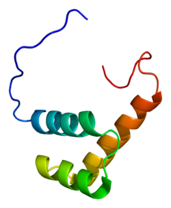 Protein ZEB2 PDB 2da7.png